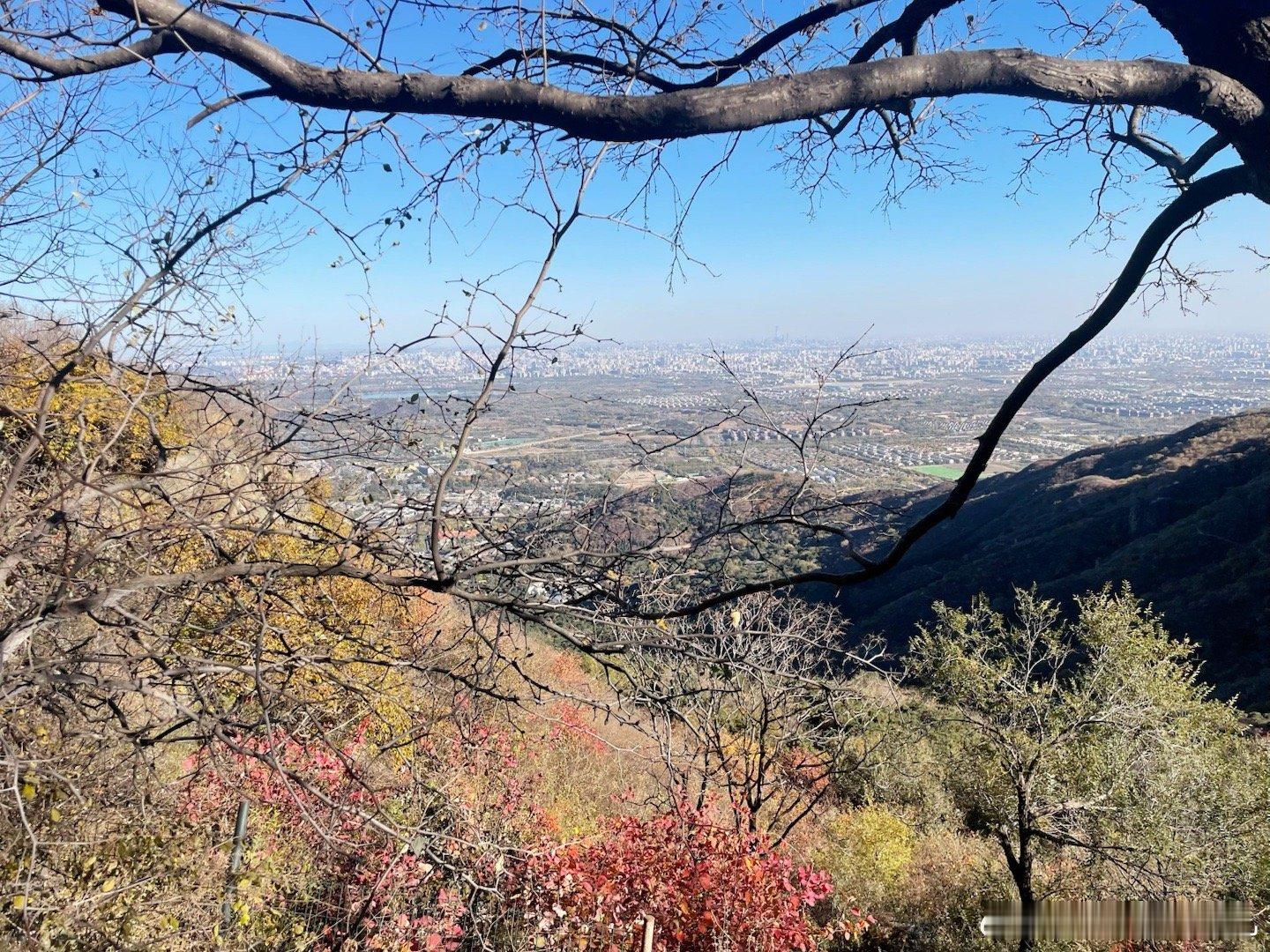 香山红叶延缓变色现在颜色还不是很浓郁香山 香山公园将迎来赏红客流高峰 ​​​