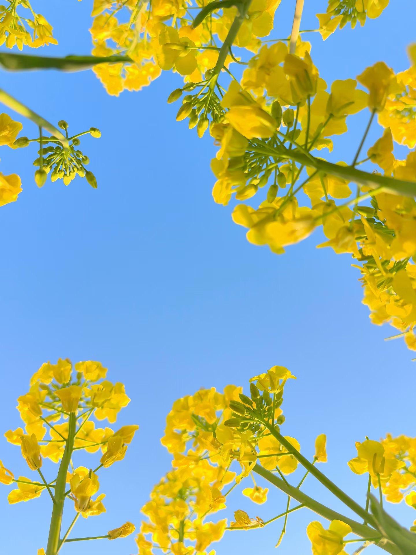 生命的气息，美到窒息