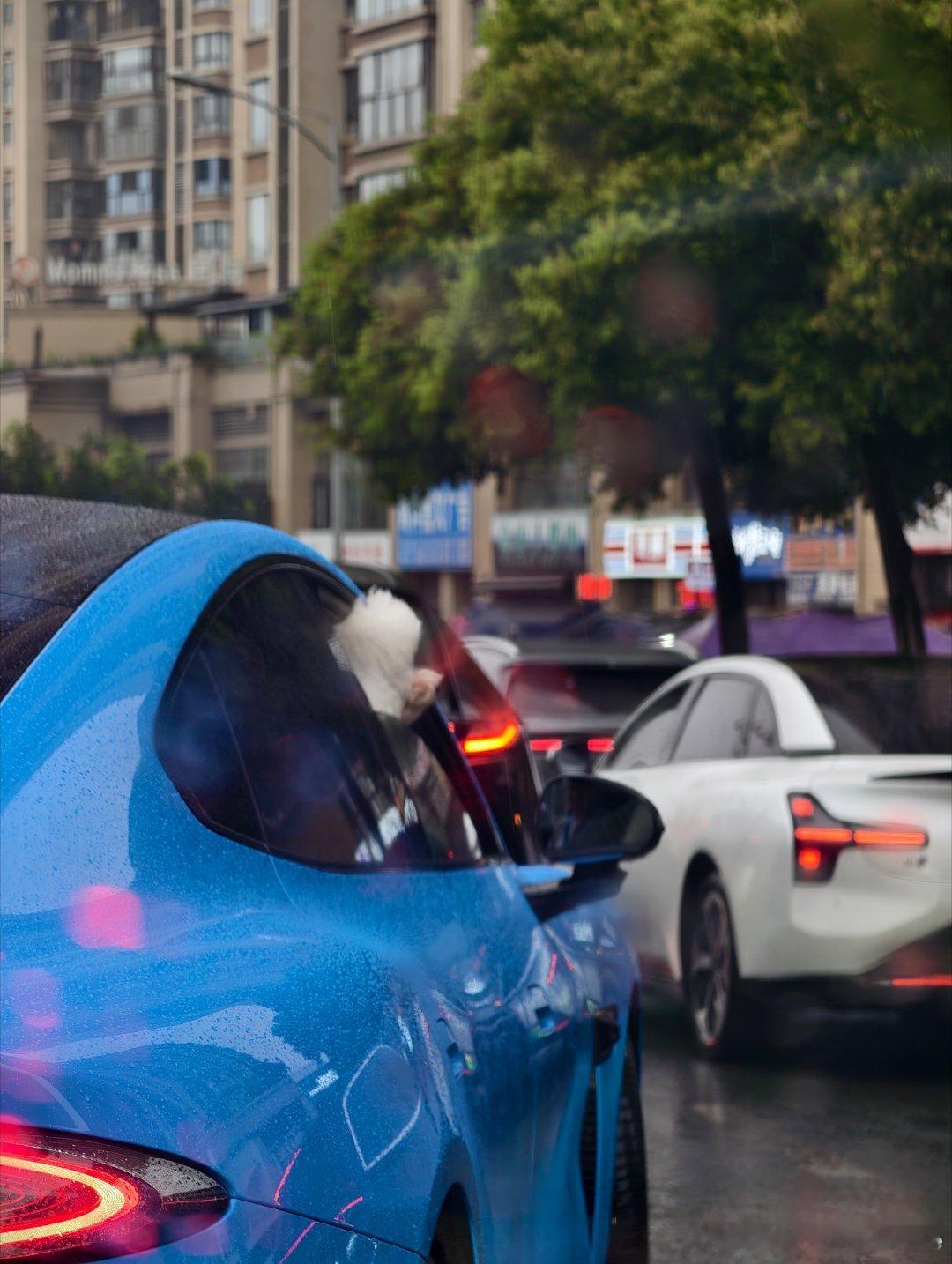 啊好多人来重庆啊 