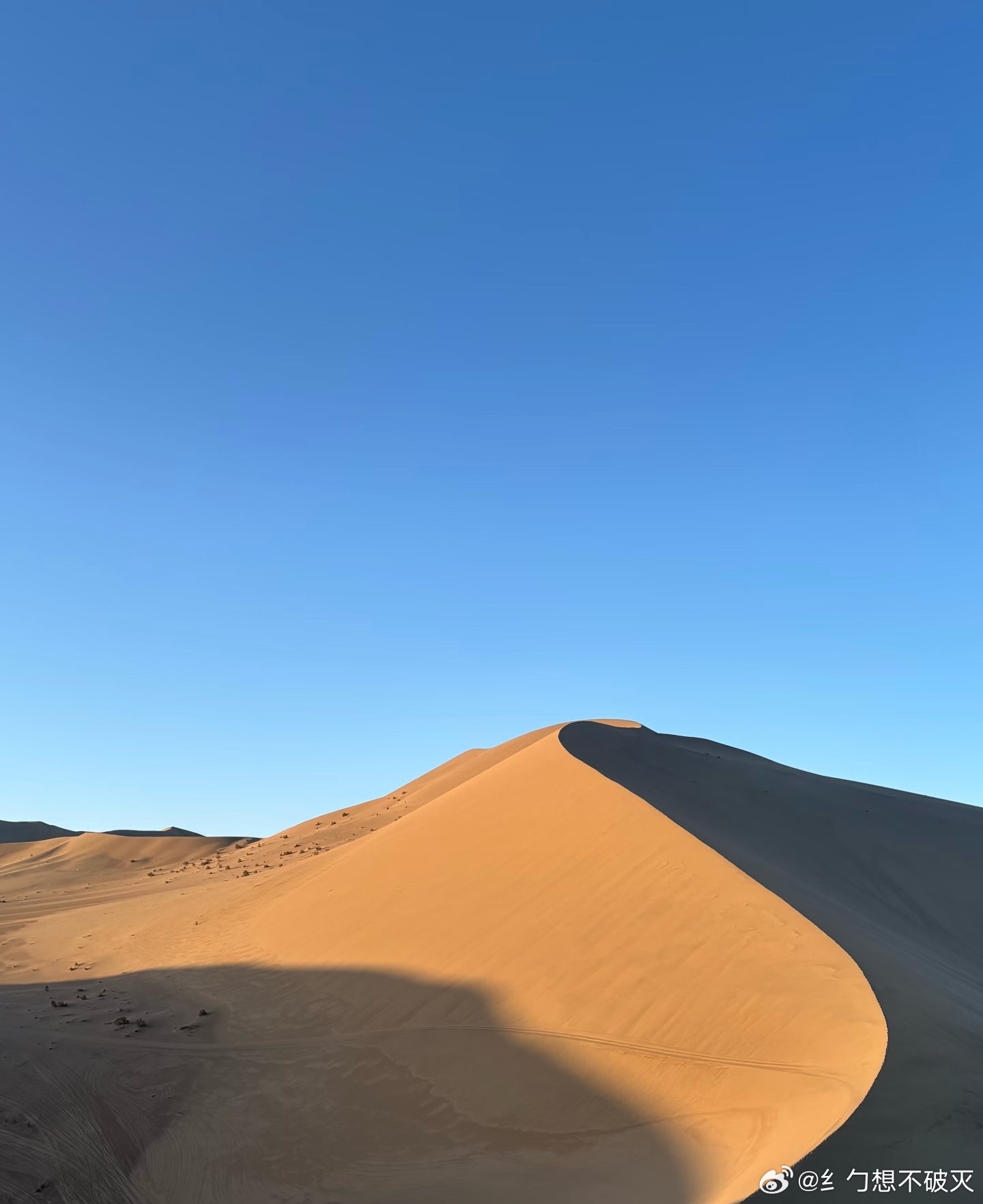 在45度的戈壁追星是什么体验理想从不是空洞的口号，它是45℃滚烫戈壁熬到凌晨四点