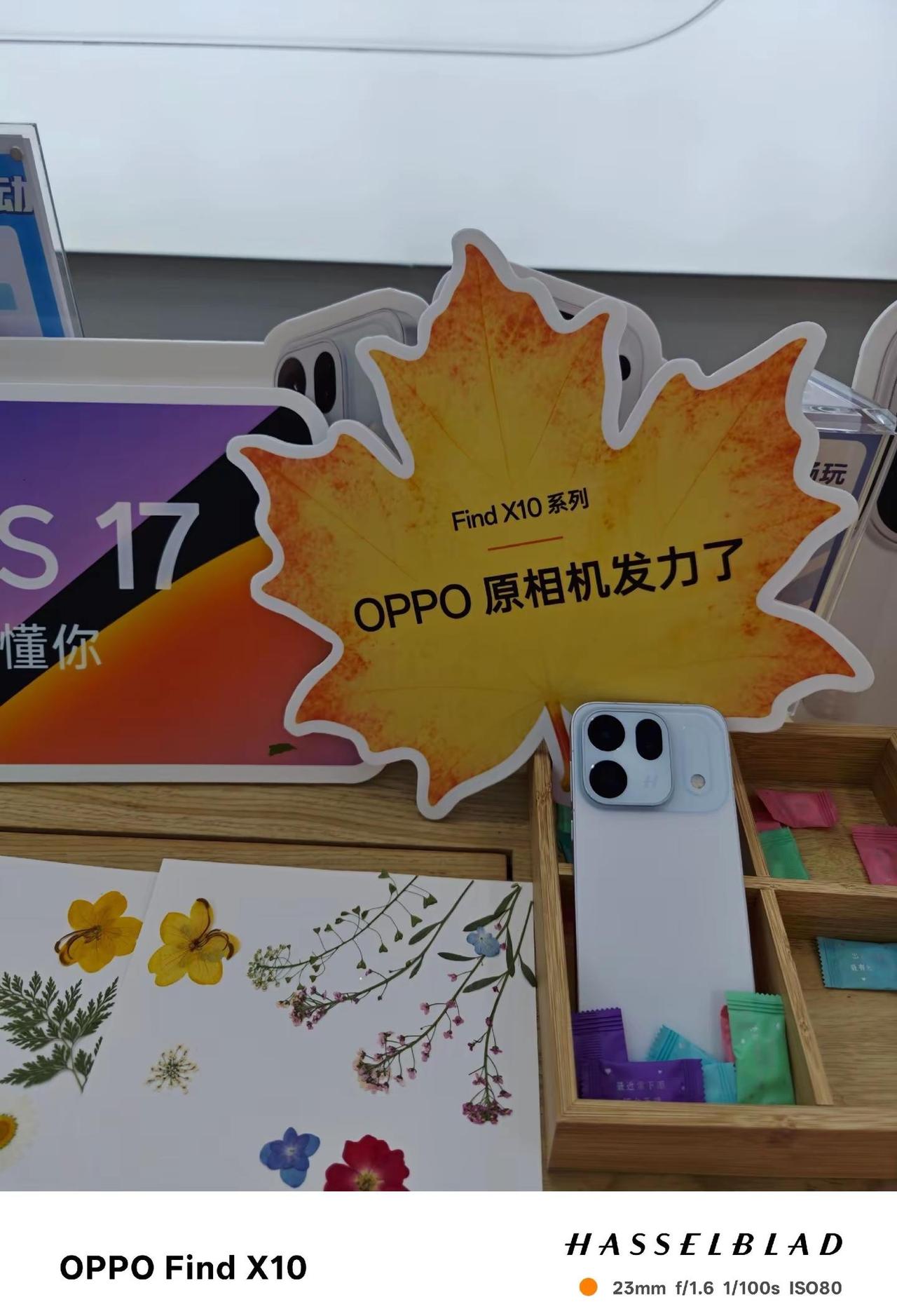 体验OPPOFindX10，原相机太顶了。秋日肆意拍！广州超清原相机 OPPOF