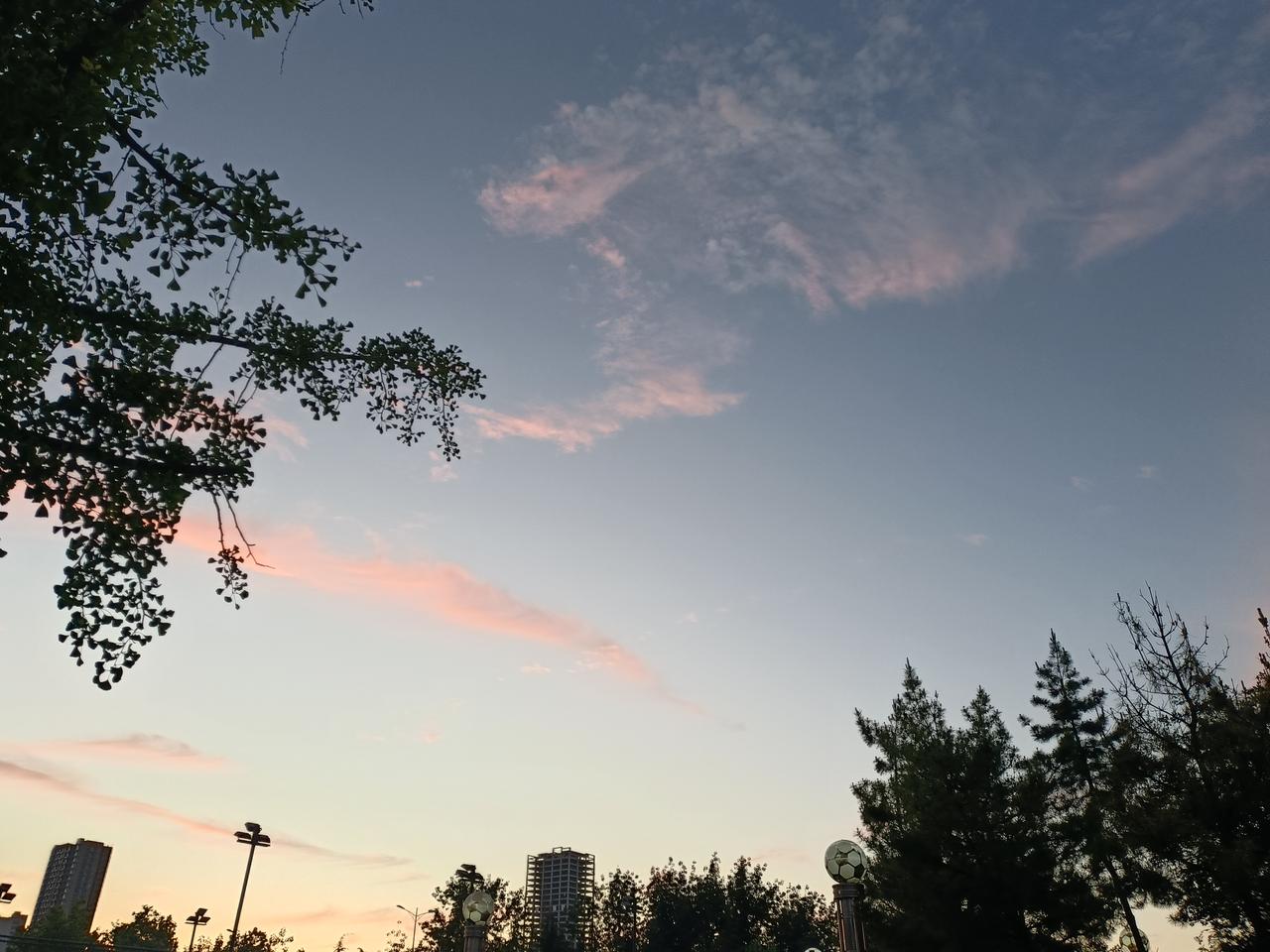 怎样练拳速度快又稳当？
既要有出劲，又要有回劲？
胯要坐住，不能送出去，
肩要探