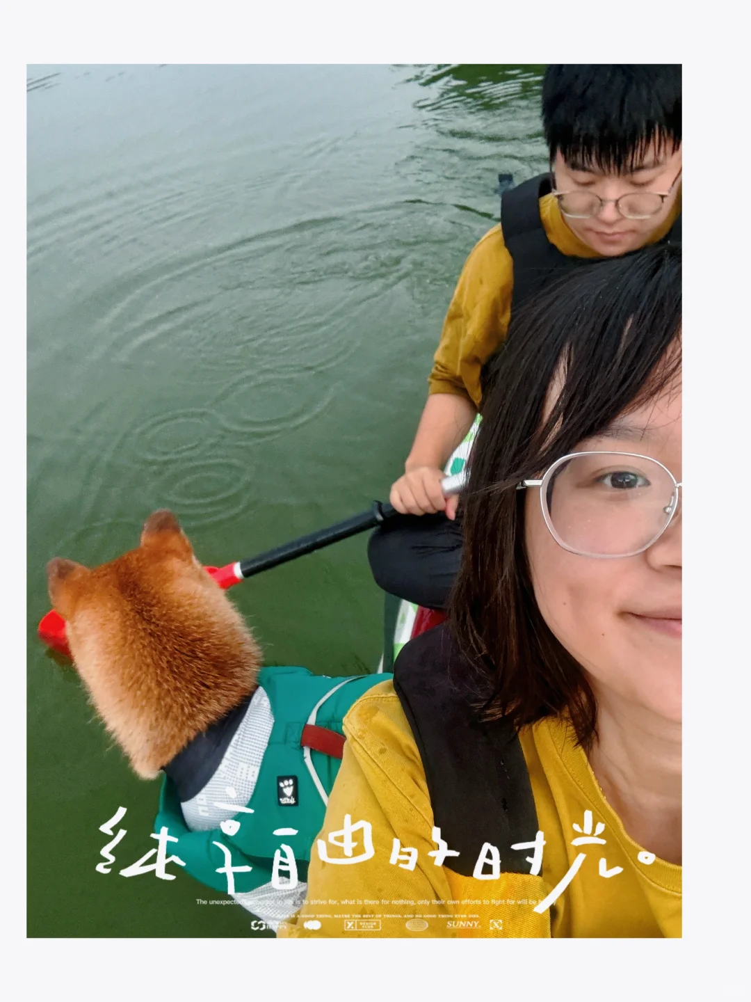 人生是一场体验 狗生也是