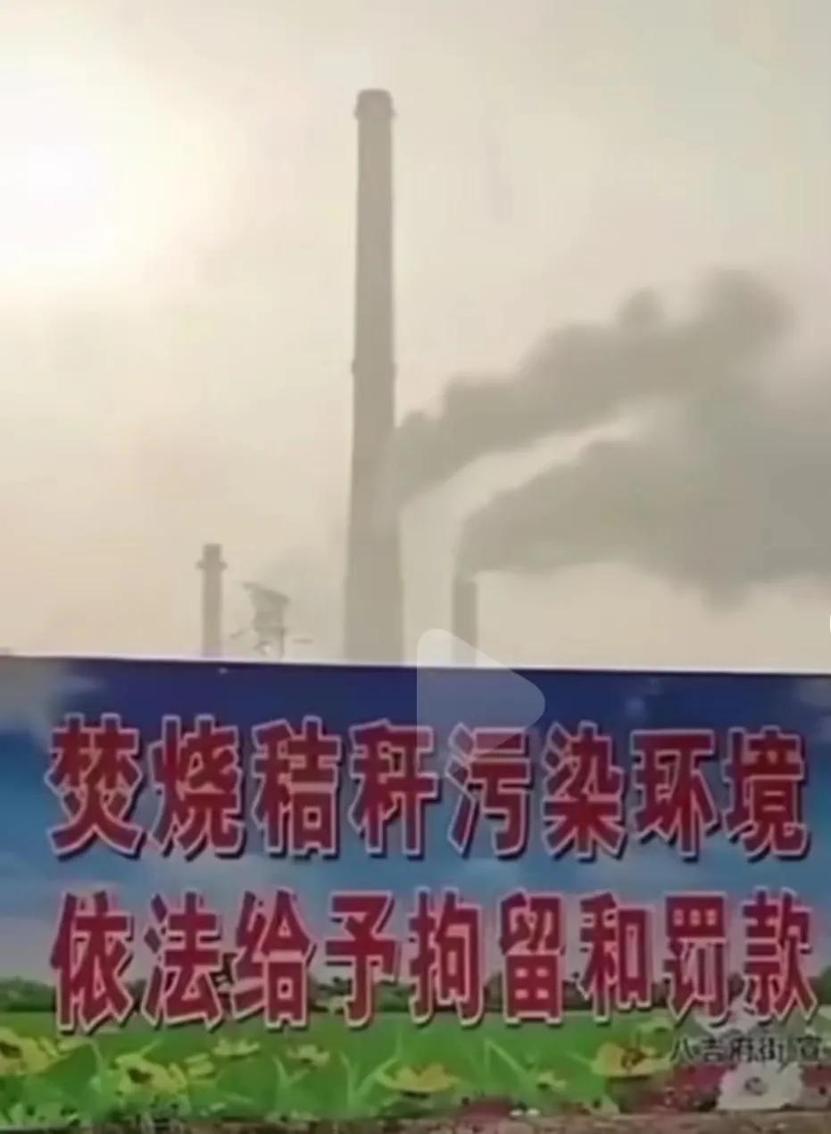 这标语看起来是不是很讽刺[祈祷]