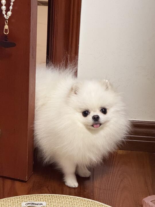 人，早安🥱