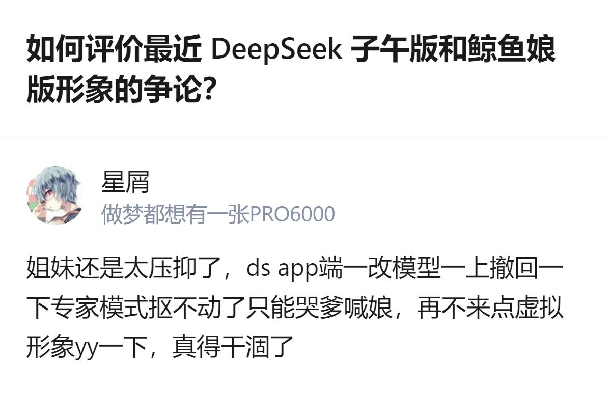 从现有信息看，DeepSeek相关形象争论的讨论里，有用户提到app端模型、专家