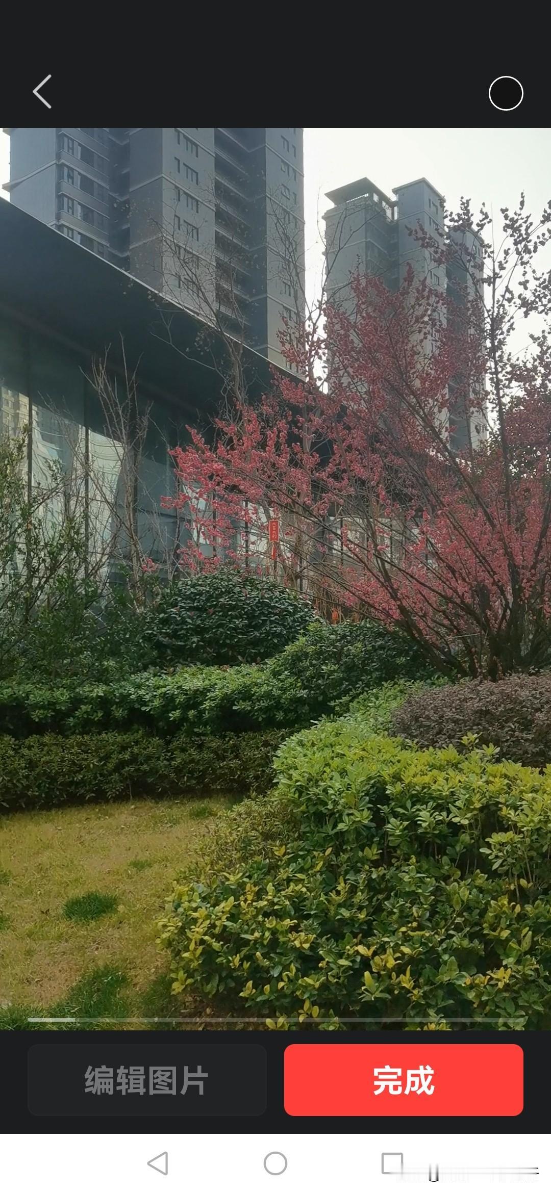 看到几个全屋定制跑路的了案例了

有一个就在我们新房附近，还有一个是我们经常去买