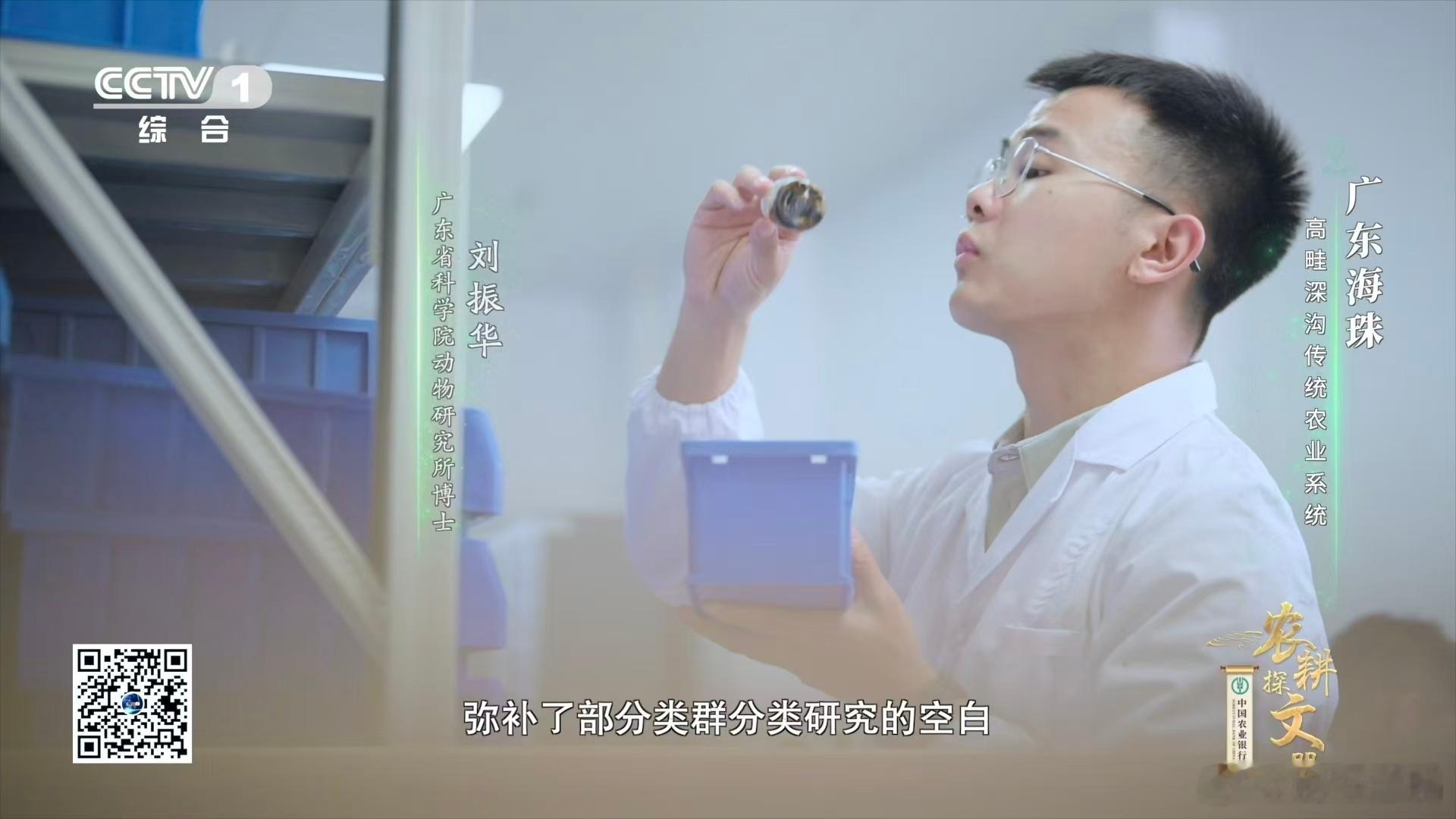 比芝麻还小的瓢虫广东，真是一个充满惊喜的地方！在这里发现了比芝麻还小的海珠微瓢虫