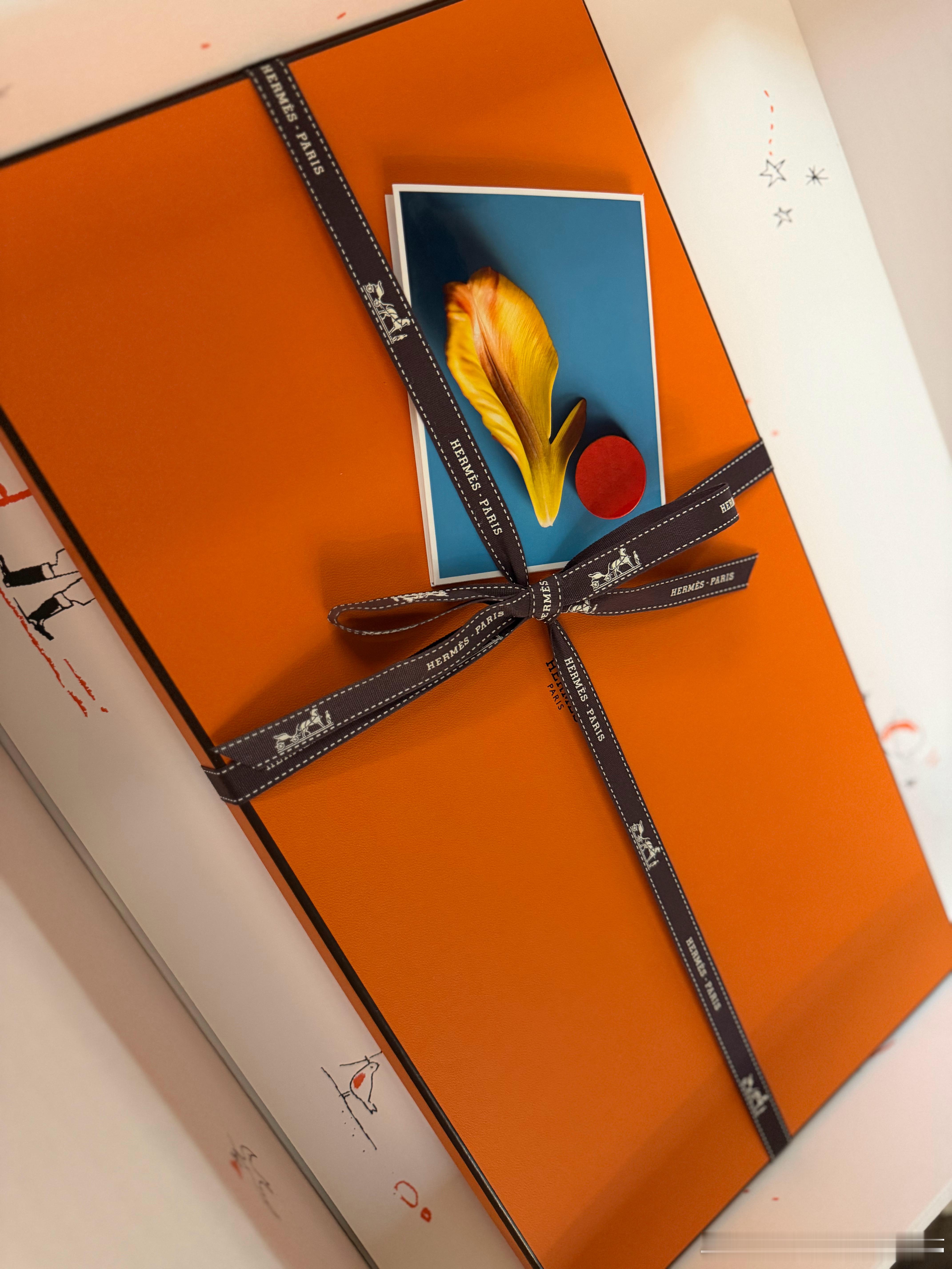 拆了今年最难拆的快递，那盒子的质量不要太好了哈哈哈，感谢爱马仕中国的礼物爱马仕婷