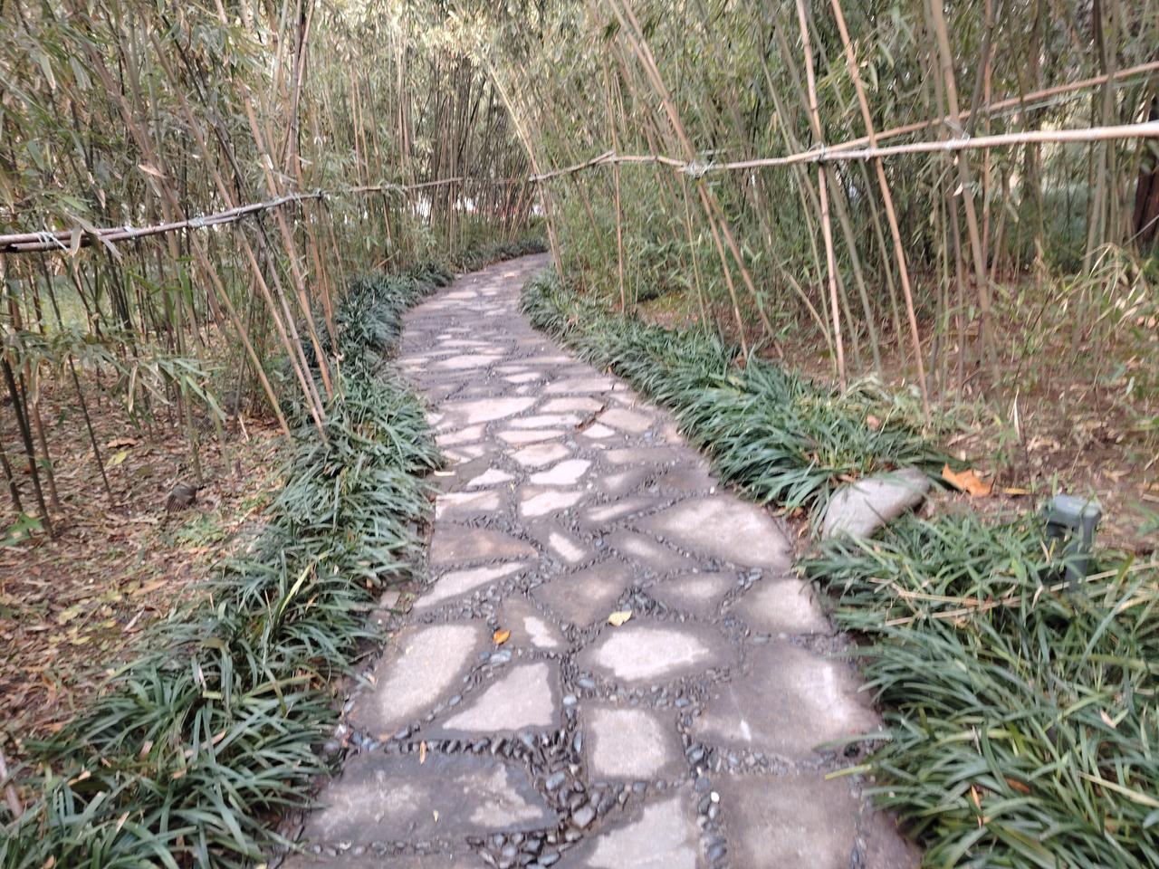 是当校长更为紧要，还是让孩子接班更为关键？
袁老师曾是民办教师，凭借在民办教师转