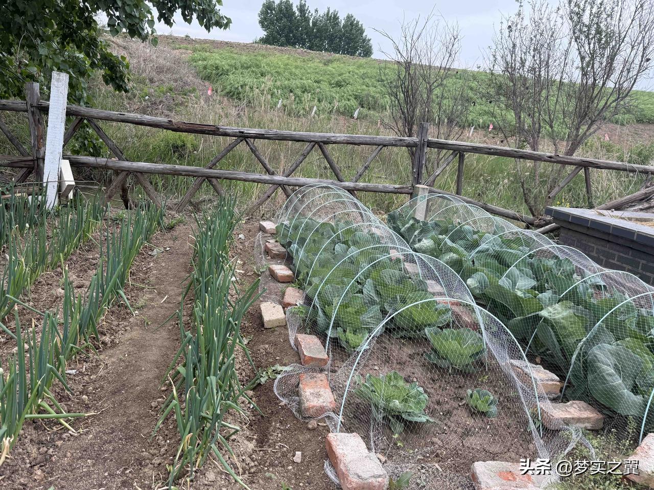 【小对联】
上：投案；
下：……？