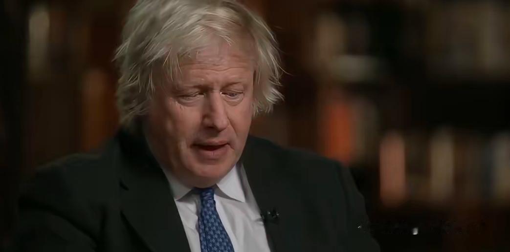 英国前首相约翰逊近期在BBC访谈中发表观点，内容属实但属于个人言论，他呼吁西方国