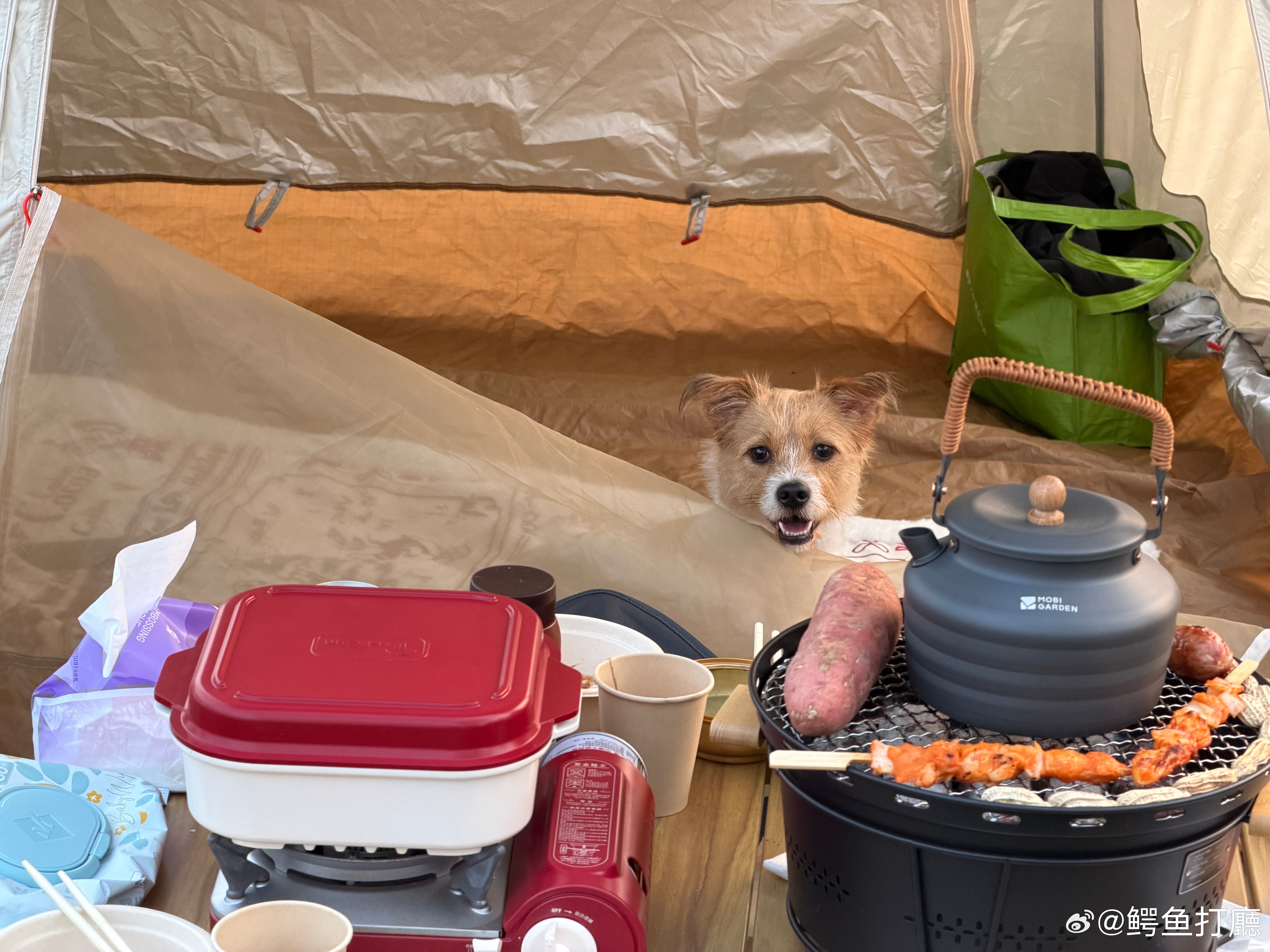 露营⛺️ 