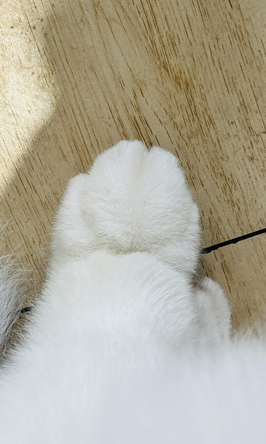 人，请全屏欣赏我