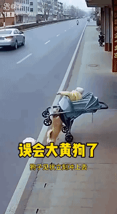 【疑似 AI 生成】为狗狗🐶点赞！👍