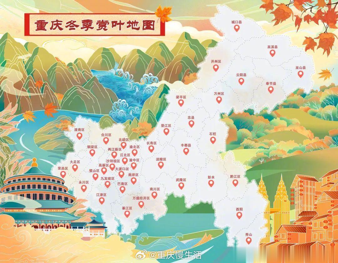 #重庆冬季70余处赏叶地图#【叶美如画！重庆冬季赏叶地图来了，挑一个？】70余处