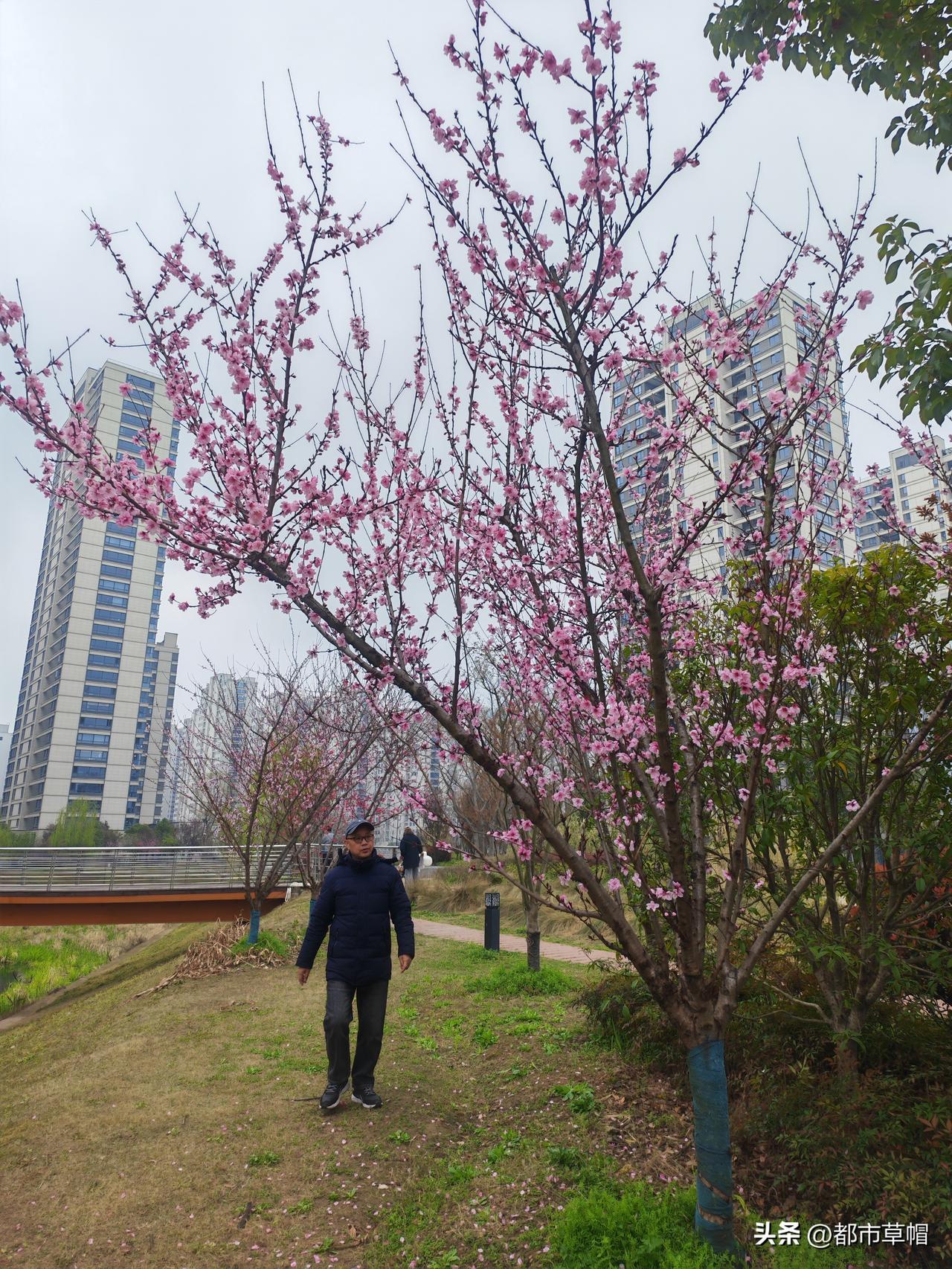 说是春暖花开，但是天气变化还是让人猝不及防，前天女儿感冒了，流清鼻涕，打喷嚏，低