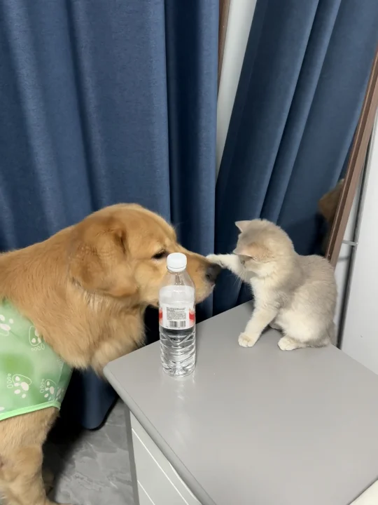 如果没有拍下这一幕我真的会疯！！！