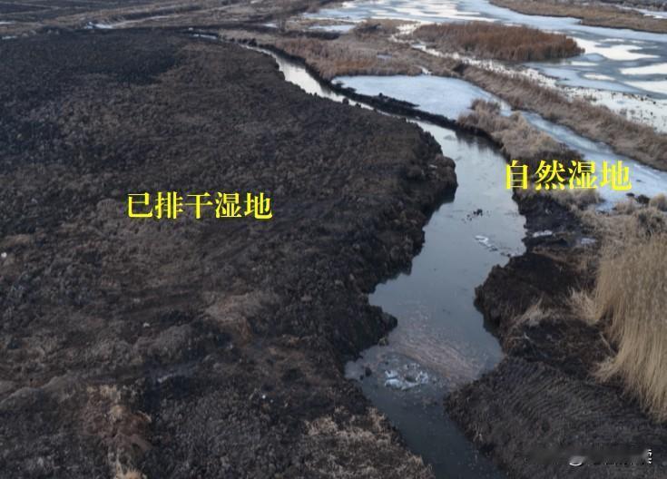 黑龙江齐齐哈尔市湿地破坏问题十分突出

2026年5月中央第三生态环境保护督察组