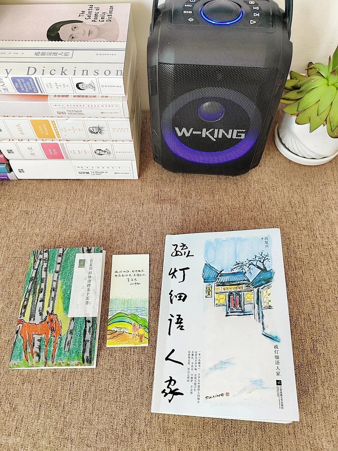 一本让我灵魂震颤的书！读完突然不焦虑了…