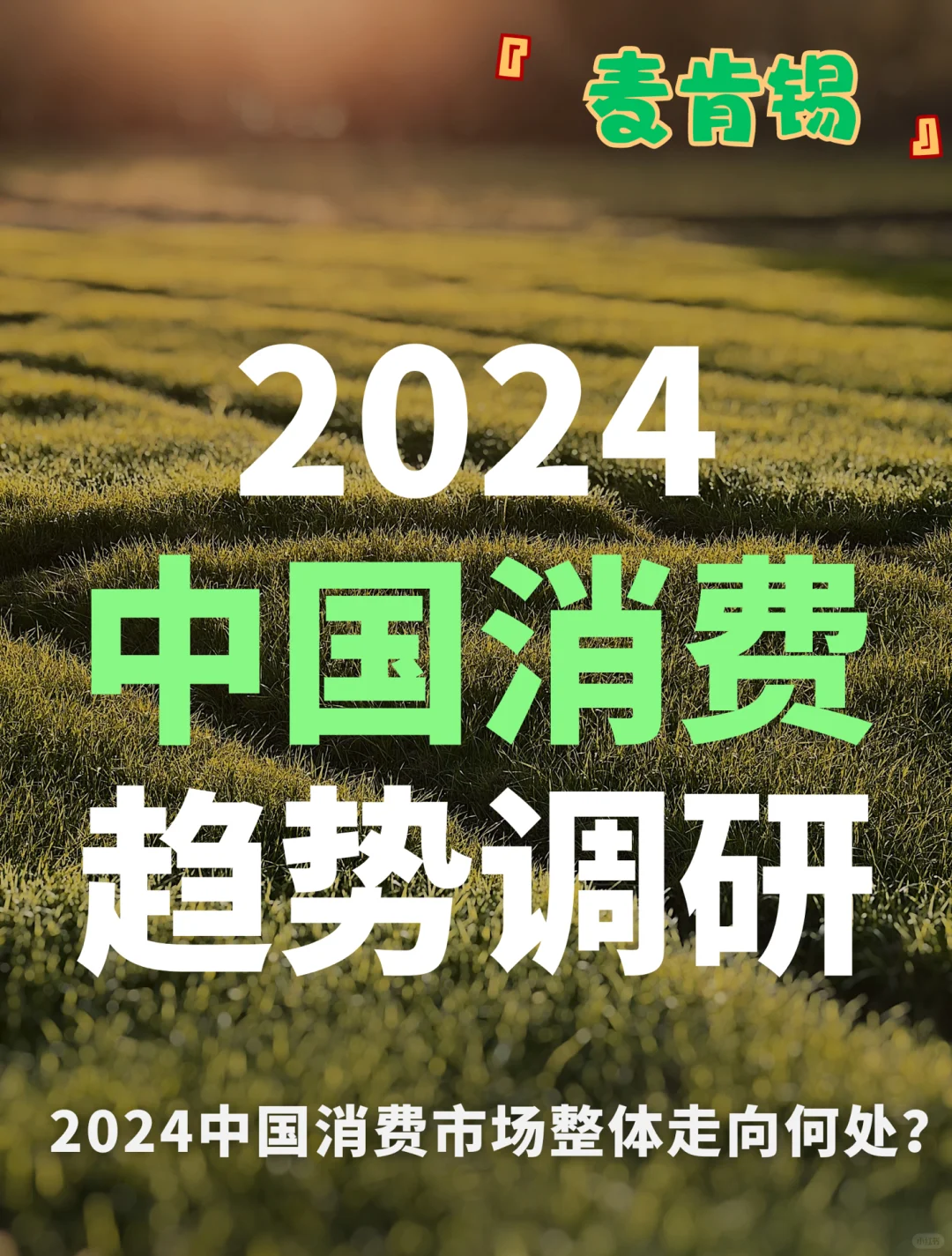 麦肯锡发布｜2024中国消费趋势调研