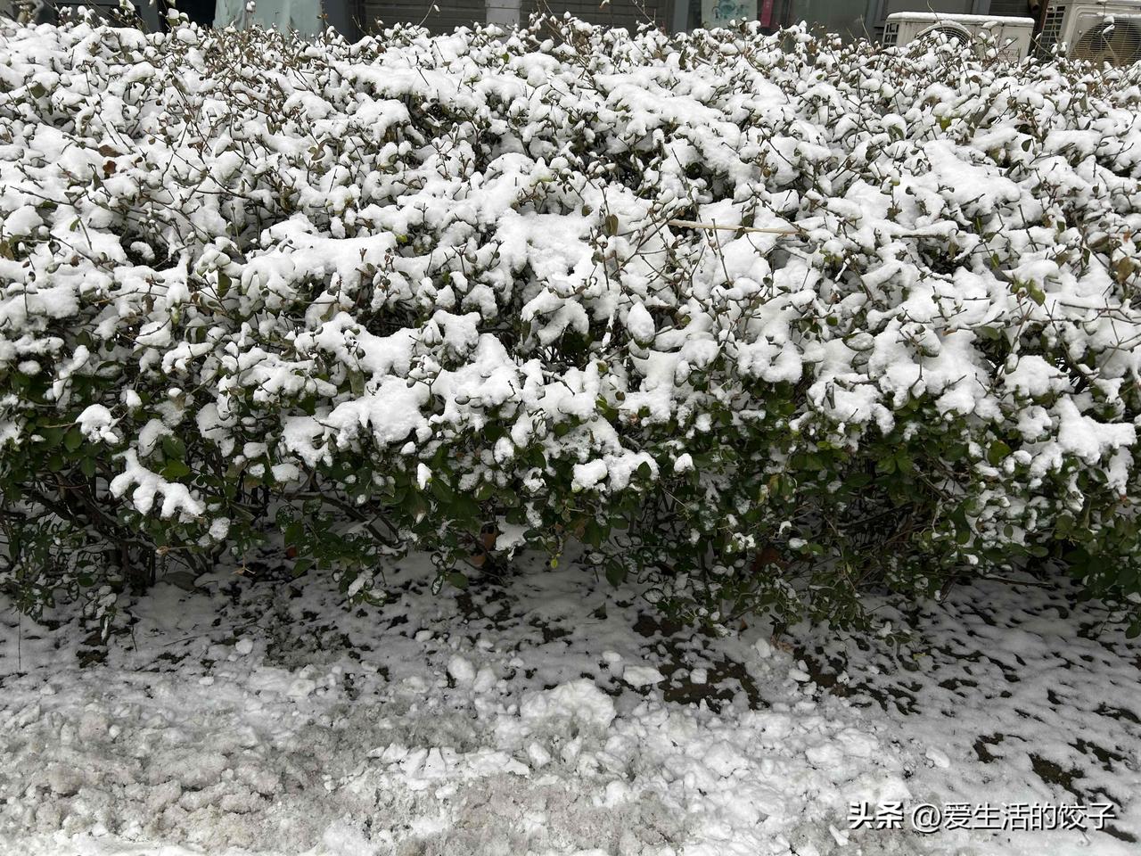 孩子们开学，年也算真正过完了。不少妈妈会让孩子上交压岁钱，做法是否合理，确实要看