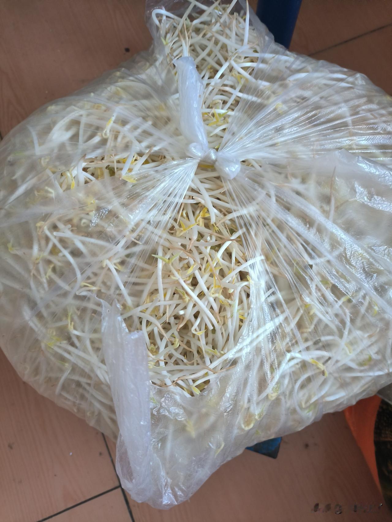 有一年夏天，我婆婆破天荒的炒了一回酸辣绿豆芽。那时候因为家里人多，婆婆买了一大兜