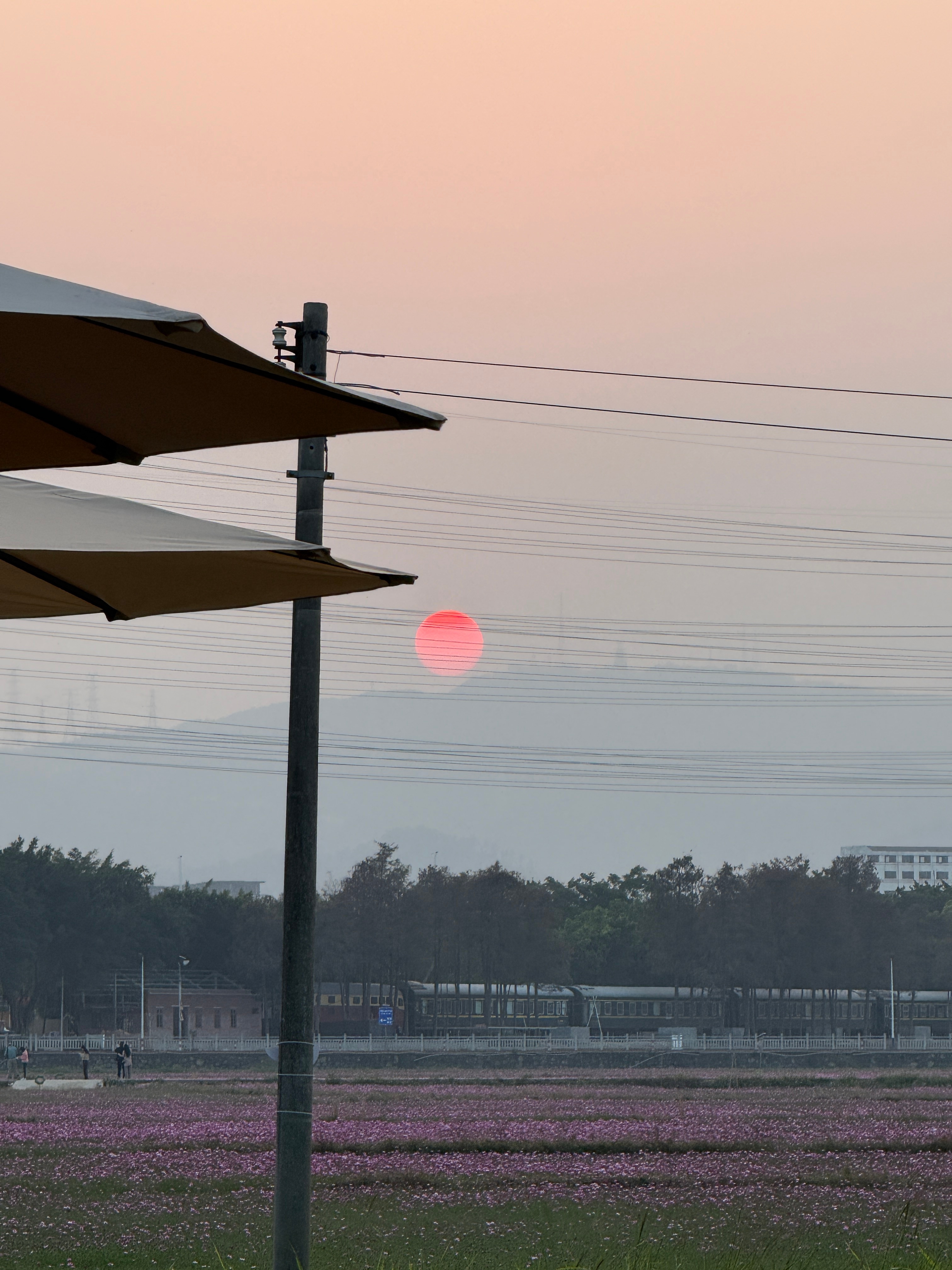 哇，好美(⊙o⊙) 