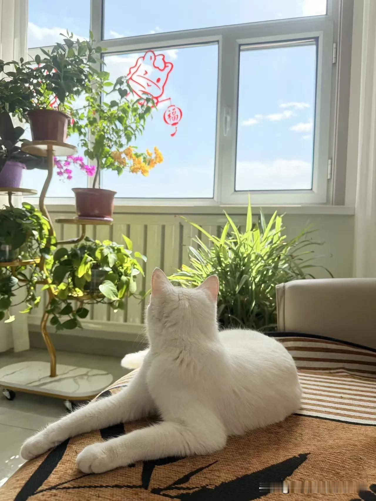 二婚的“半路夫妻”为什么难长久? 二婚的“半路夫妻”难长久，主要是有几个坎难跨过