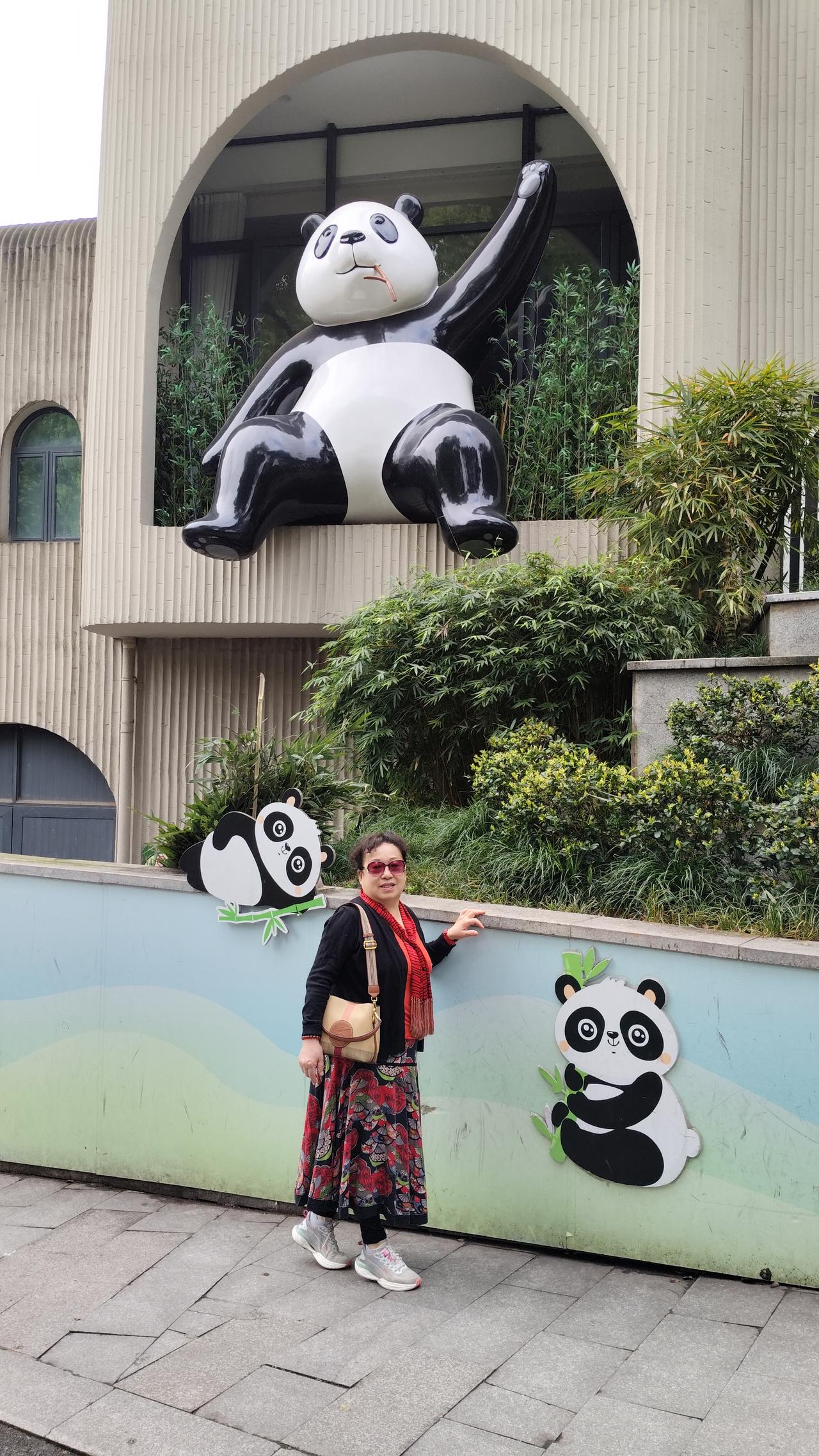 你去动物园看过大熊猫么来重庆第二天就去看了可爱的大熊猫，它们在吃早餐，相互玩耍可