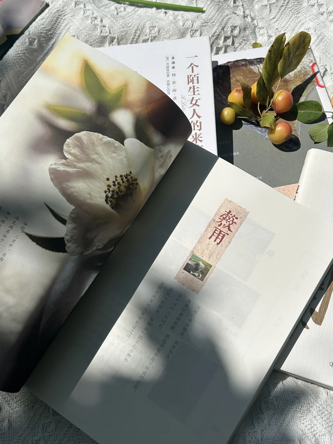 人民日报：改变人生，从养成好习惯开始