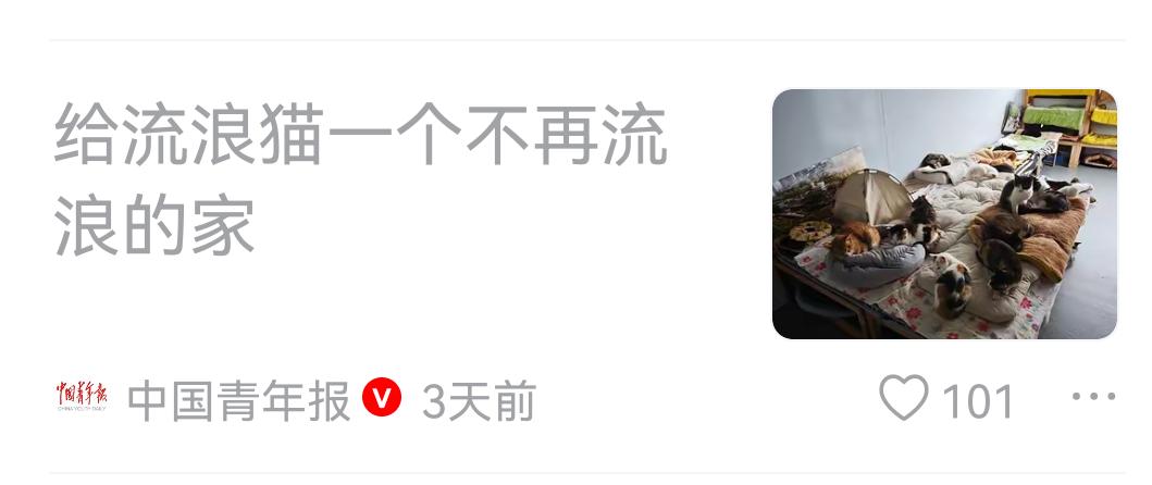 救助流浪狗猫，不能说不是善举，但绝非善策！
    比起救助流浪狗猫更重要是诛杀