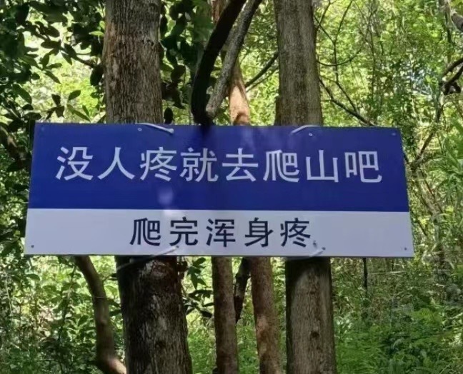【养耗别理】经历风风雨雨，困难挫折，没人疼怎么办？～～～～～～～～ 