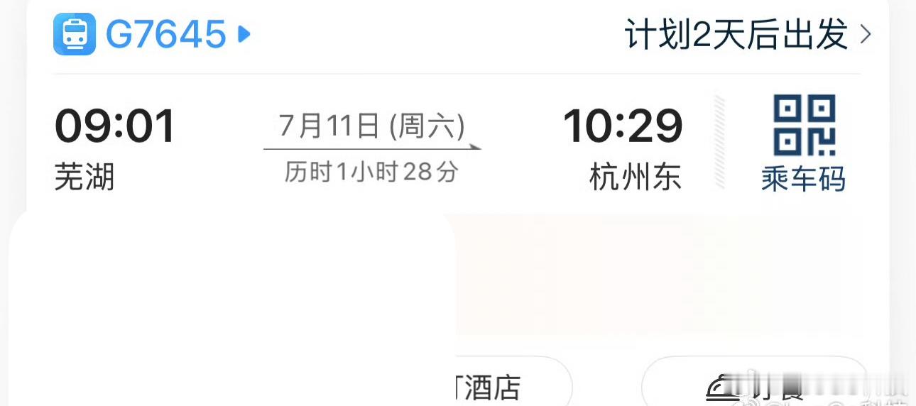 我7月11号，12号，带孩子来杭州参加数学比赛，坐高铁过来~现在有点担心高铁延误