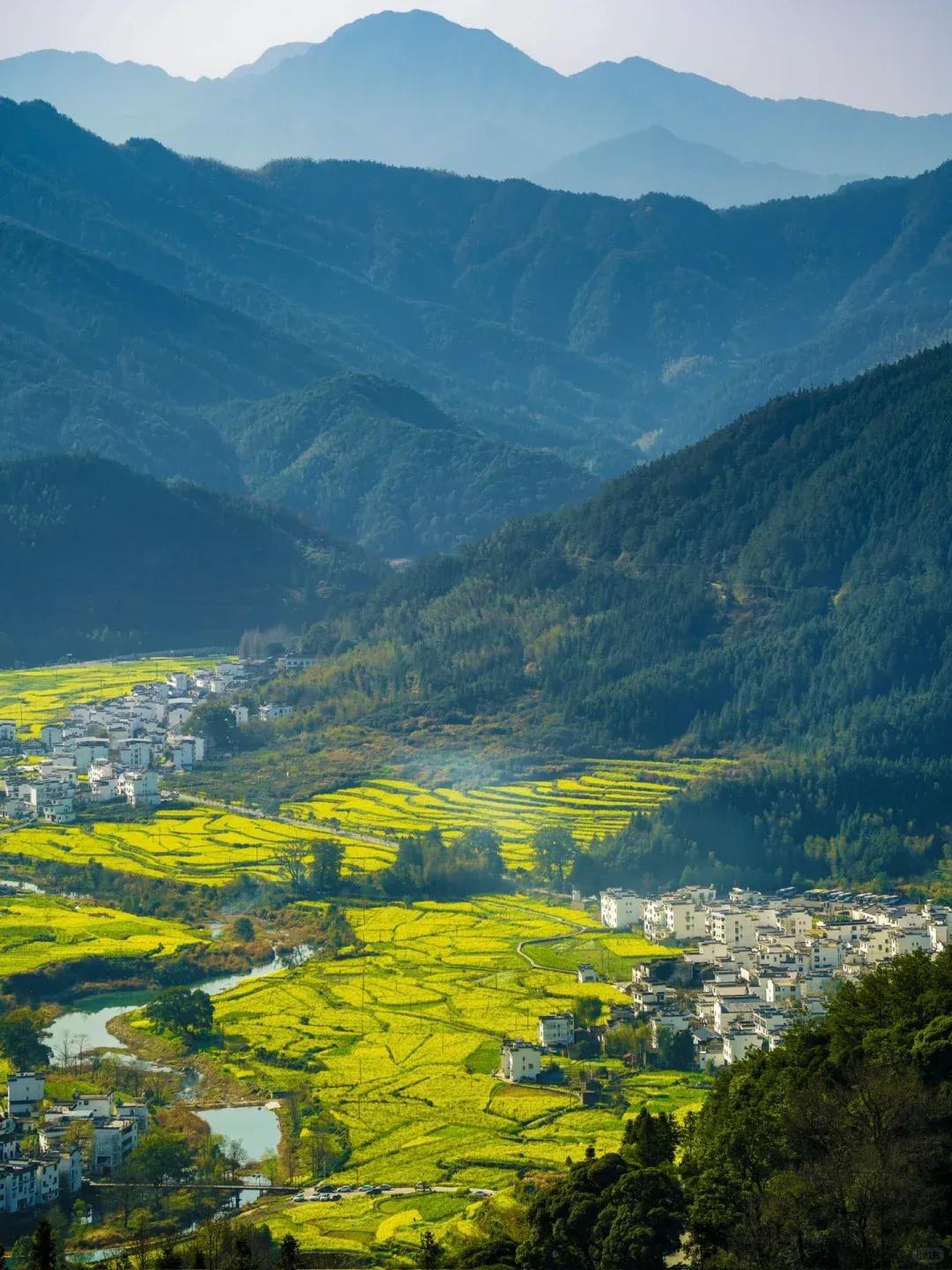 什么是“半裸官”？
半裸官：配偶在国内、子女移居/定居境外的领导干部。
传统裸官