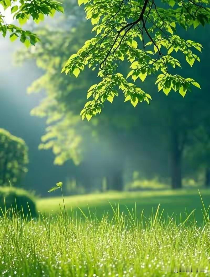 有没有人觉得今年的五月份与往年相比要凉爽呢？

已经立夏了，早上送孩子，需要穿个