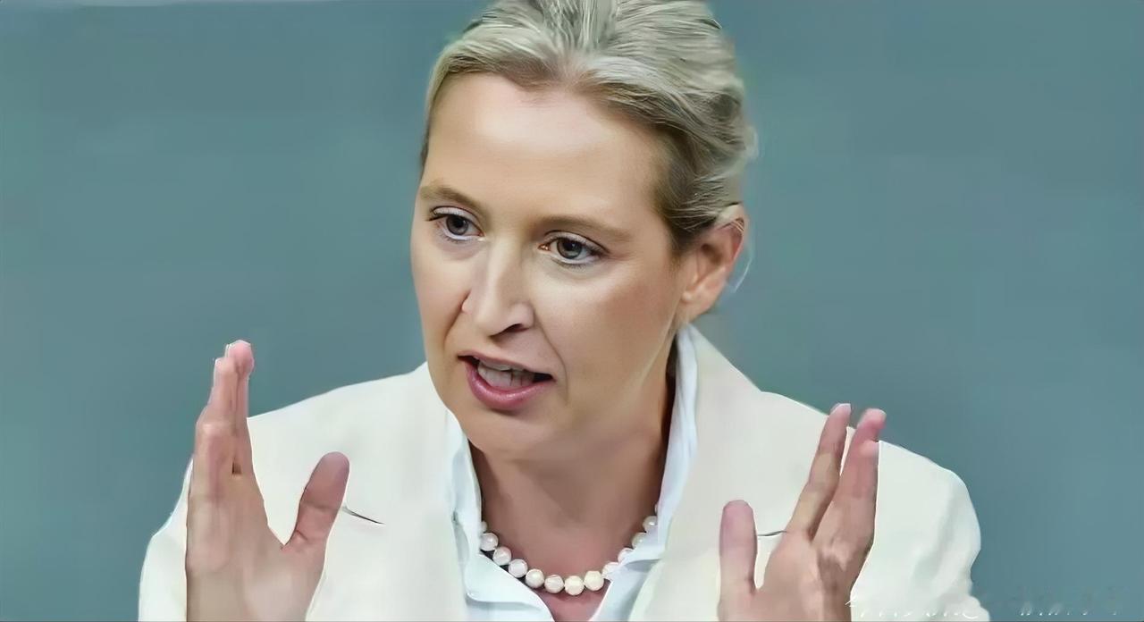 德国选择党领导人魏德尔近期公开喊话，呼吁德国重新恢复从俄罗斯进口天然气和石油。