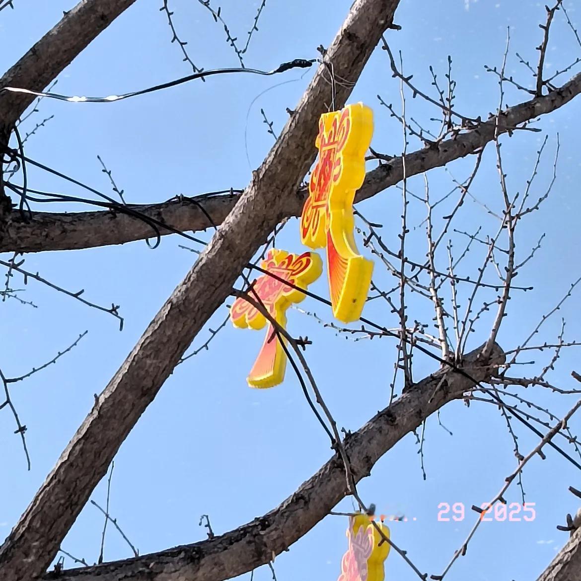 天南地北大拜年戳这里，一起放烟花>天南地北的朋友们新年快乐呀！烟花绽放的瞬间，是