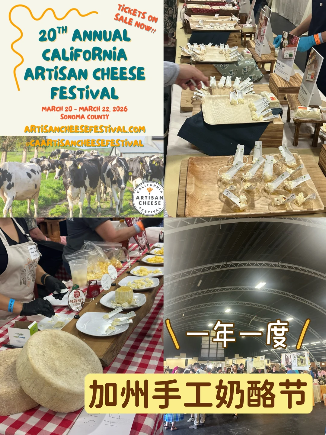 Sonoma｜在湾区周边吃到了人生最多的奶酪🧀