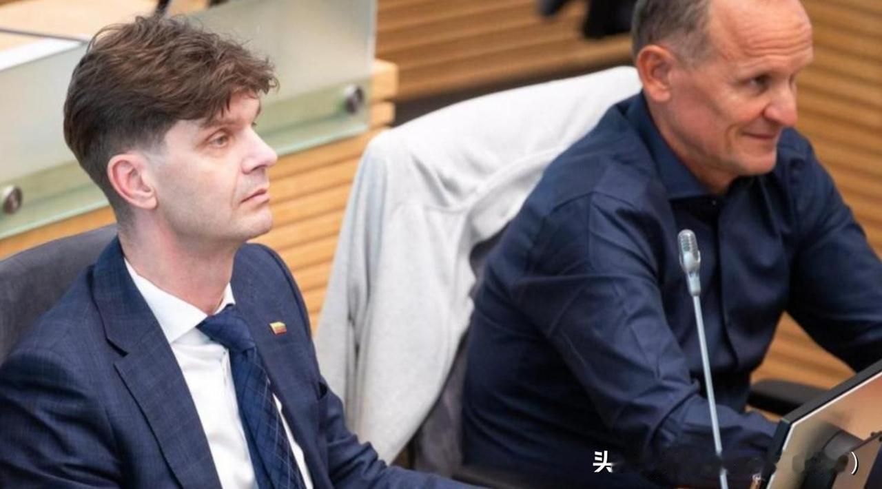 中方没想到，为重塑中立关系，立陶宛豁出去了，值得日本好好学习

立陶宛议员自费赴