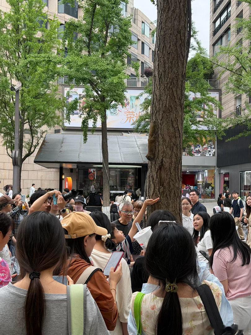 在杭州同时拍到杨博文和林依轮打卡杨博文拍到林依轮舞台盲盒西子廊桥街头大屏解锁独特
