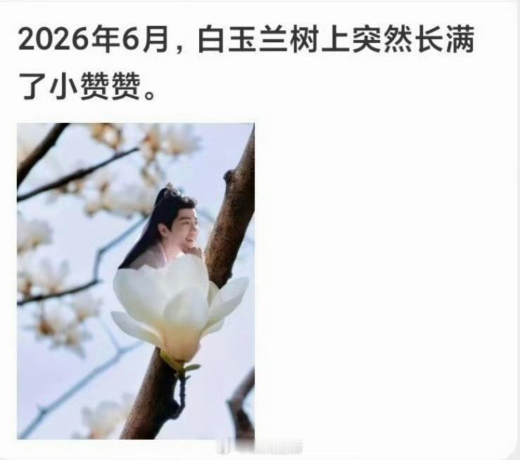 给他吧给他吧…… 