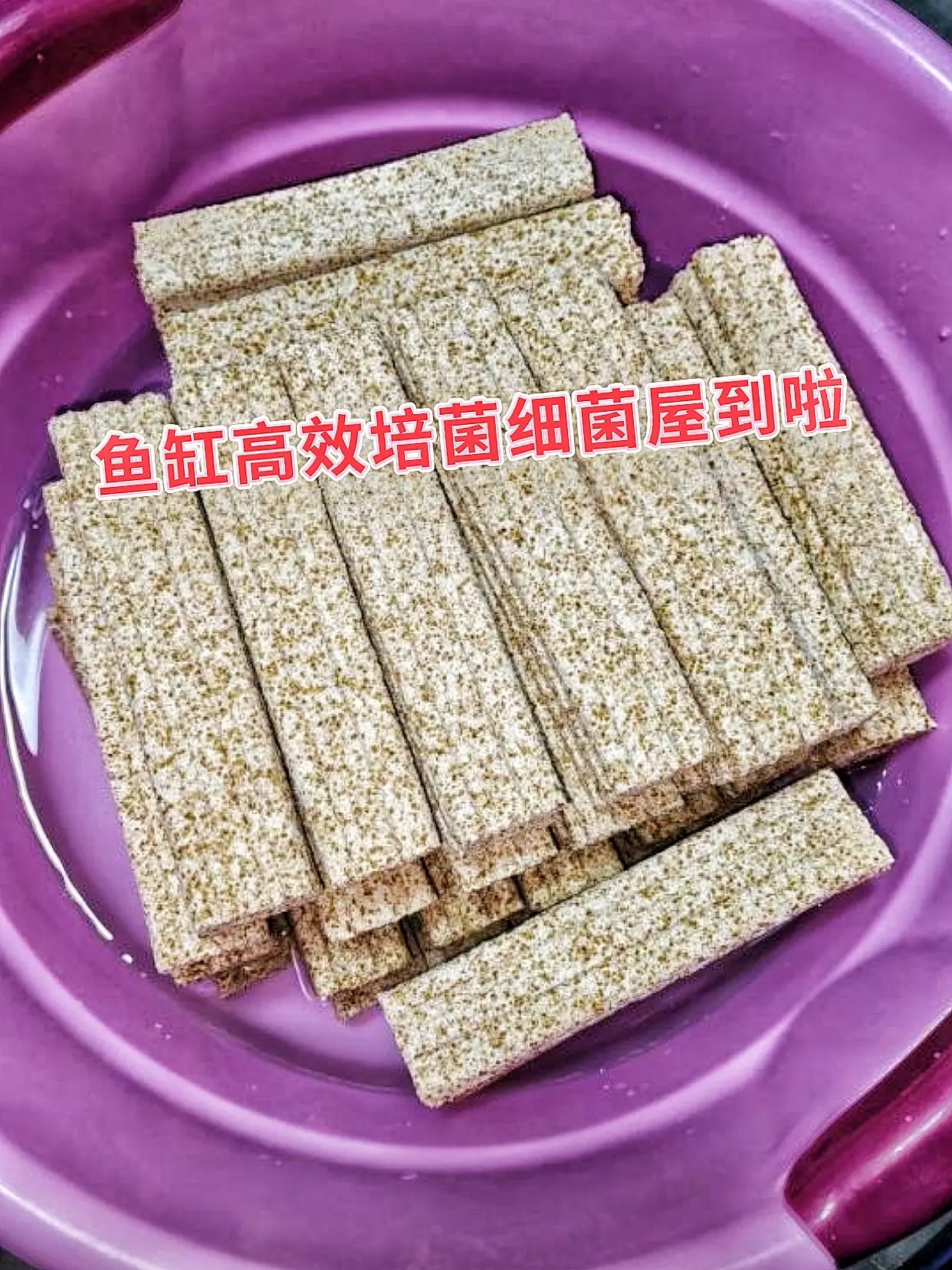 想要鱼缸生态更平衡？鱼缸高效培菌细菌屋别错过！采用优质材料，经久耐用。...