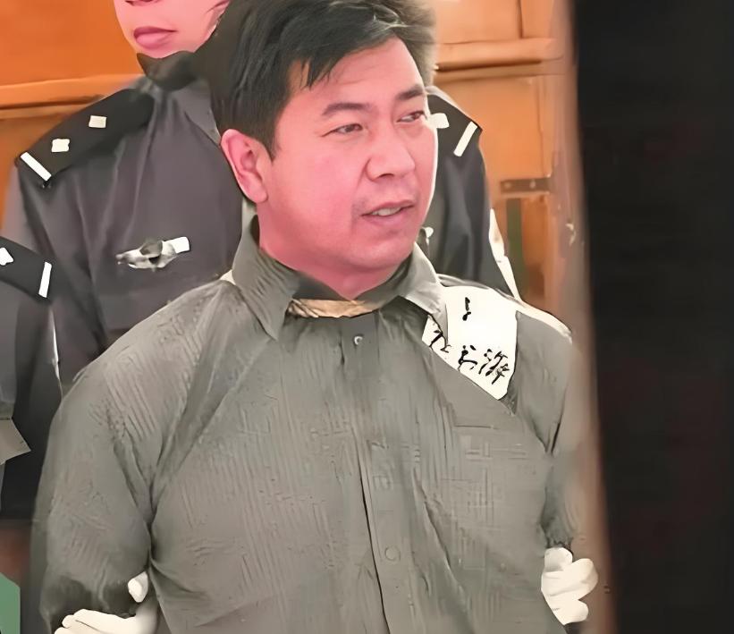 悍匪张书海的人生，非常分裂，非常矛盾。
1955年，张书海出生于河南叶县一个极度