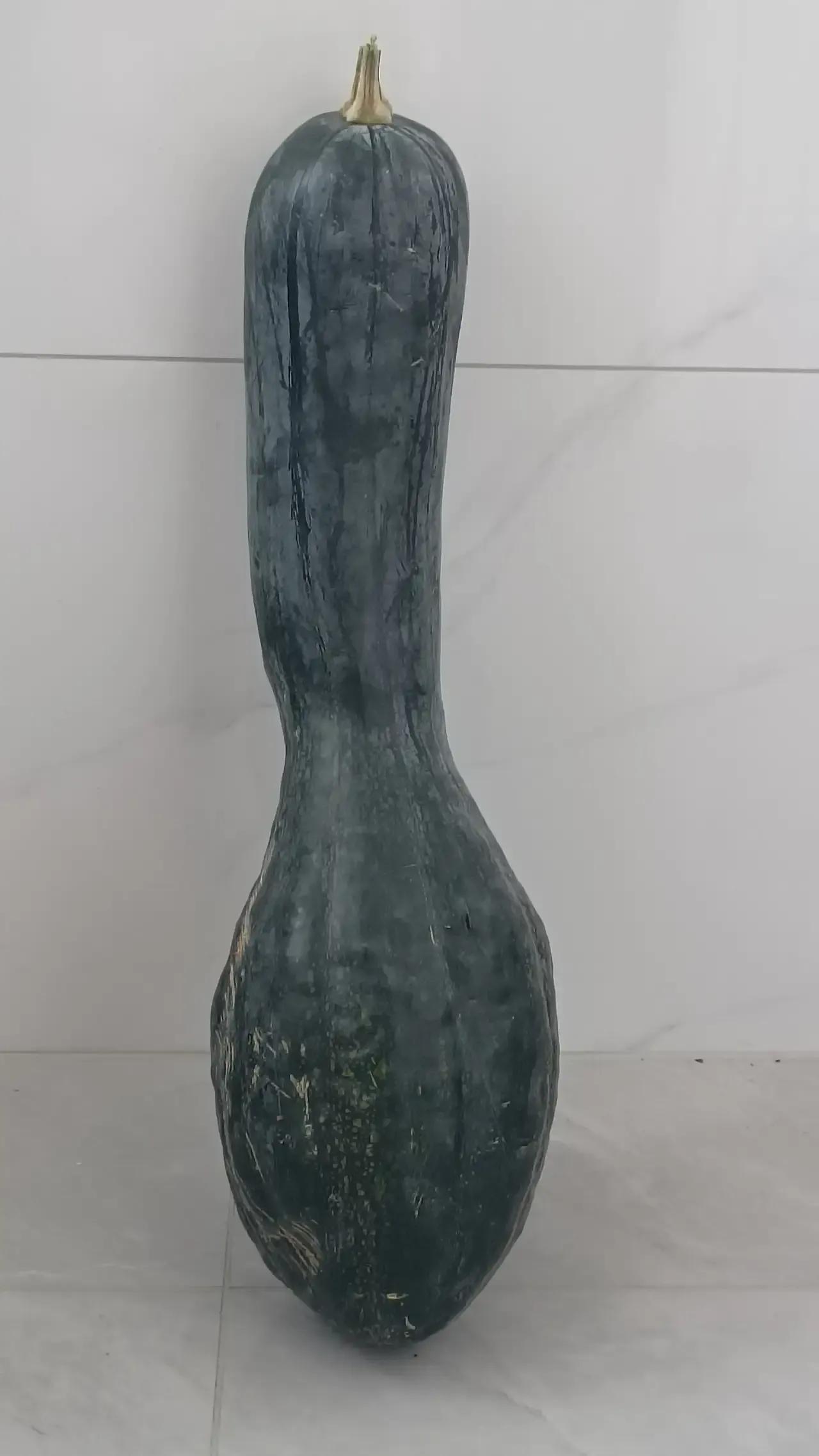 评论区炸了！就我发的这个大瓜求名，评论区炸了，北到内蒙古，南到海南岛，西新疆，东