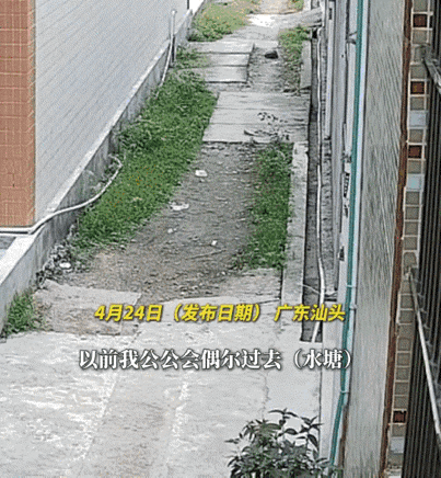 万万没有想到，广东汕头，一女子发视频分享，她家公公平时常常去附近一水塘投喂一只乌