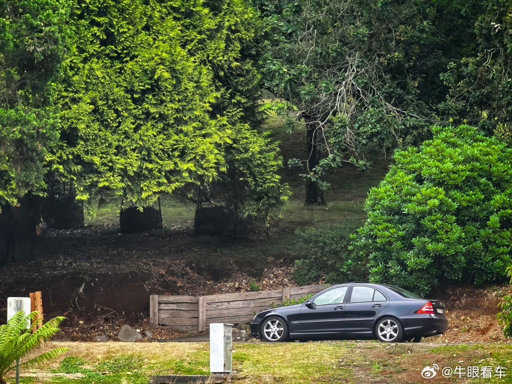 森林蒸汽小火车也是坐过了，过来就是小湖边喂个鸭子 