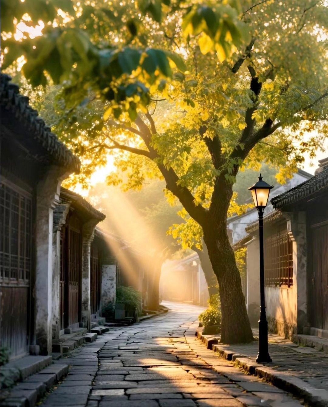 很多人总想着，如果当初换一个选择，结局会不会不同。可人生最残酷也最公平的地方在于