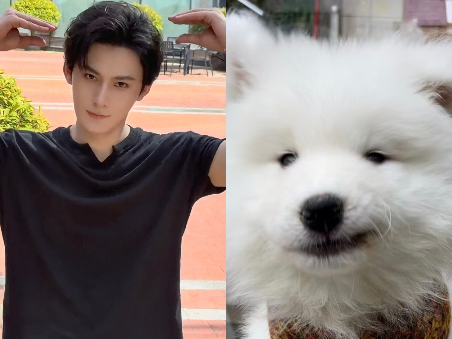 小狗小兔😏😏😏 