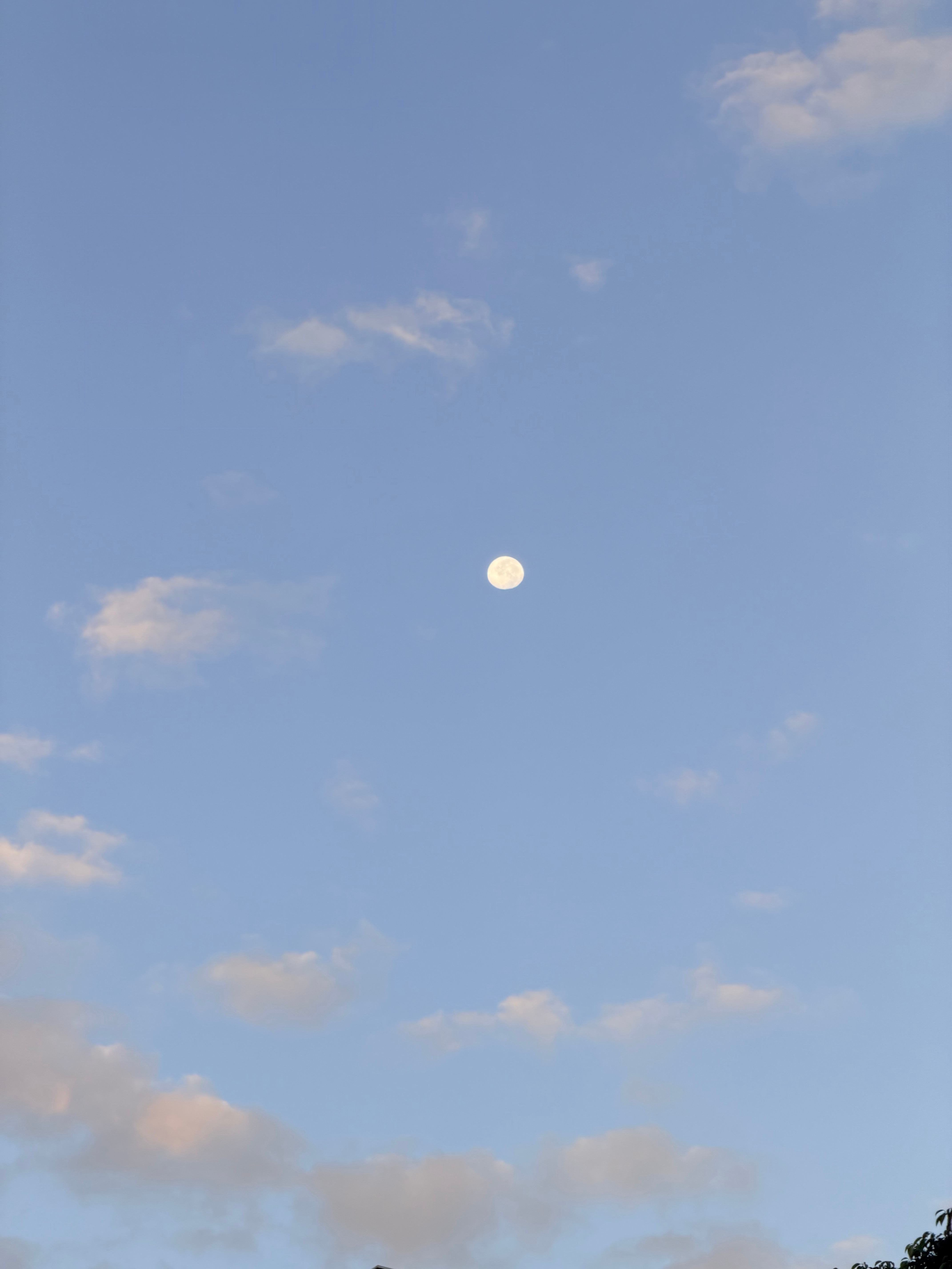 不想看朝霞了，求求快点降温吧 ​​​